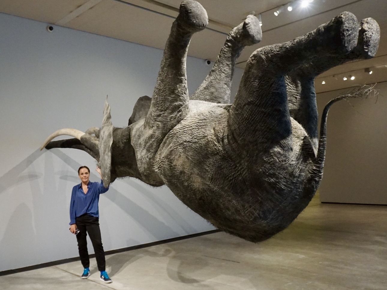 Addressing the "elephant in the room"